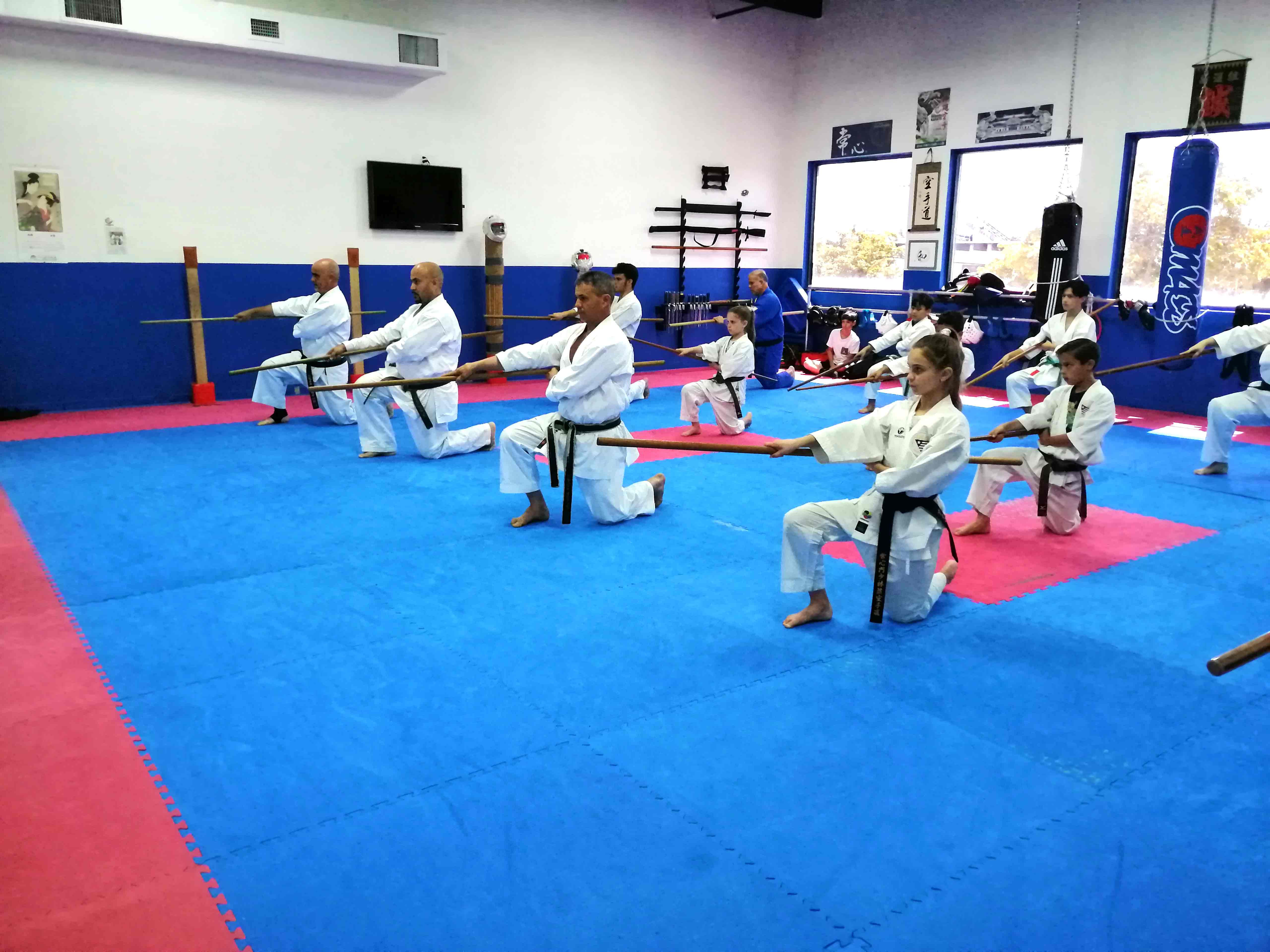 www.joshinmonkai.com | Florida Kobudo Seminar October 5, 2019 | kanmuri Dojo |